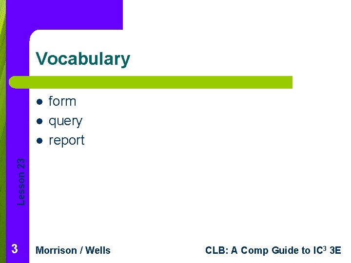 Vocabulary l l Lesson 23 l form query report 3 Morrison / Wells CLB: