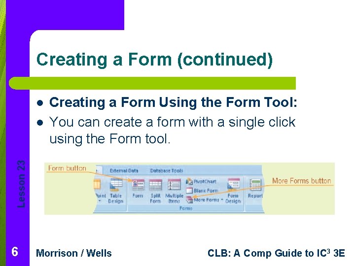 Creating a Form (continued) l Lesson 23 l Creating a Form Using the Form
