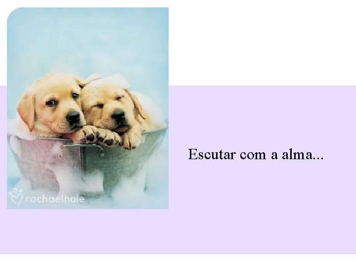 Escutar com a alma. . . 