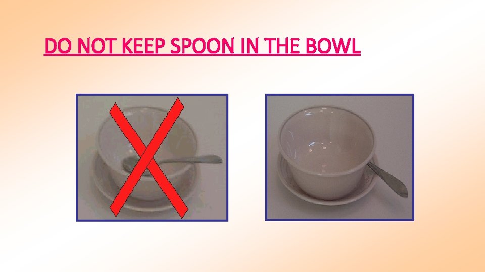 DO NOT KEEP SPOON IN THE BOWL 