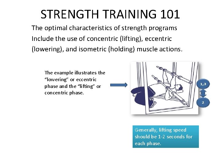 STRENGTH TRAINING 101 The optimal characteristics of strength programs Include the use of concentric