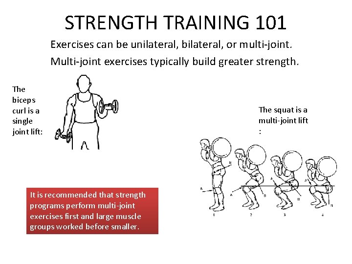 STRENGTH TRAINING 101 Exercises can be unilateral, bilateral, or multi-joint. Multi-joint exercises typically build