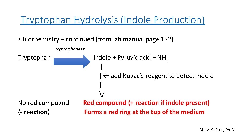 Tryptophan Hydrolysis (Indole Production) • Biochemistry – continued (from lab manual page 152) tryptophanase