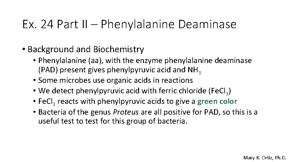 Ex. 24 Part II – Phenylalanine Deaminase • Background and Biochemistry • Phenylalanine (aa),