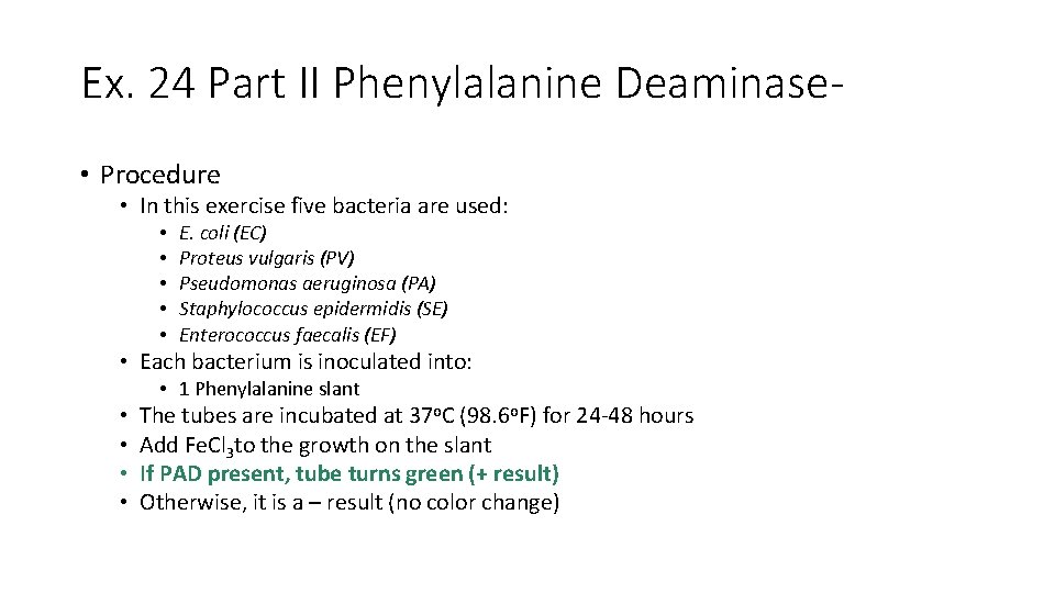 Ex. 24 Part II Phenylalanine Deaminase • Procedure • In this exercise five bacteria