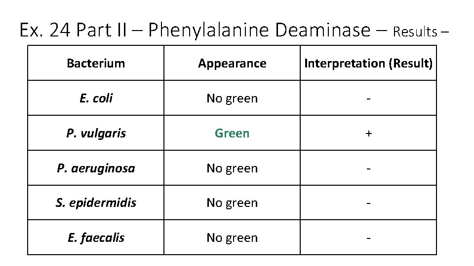 Ex. 24 Part II – Phenylalanine Deaminase – Results – Bacterium Appearance Interpretation (Result)