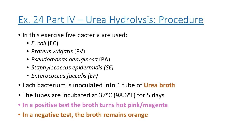 Ex. 24 Part IV – Urea Hydrolysis: Procedure • In this exercise five bacteria