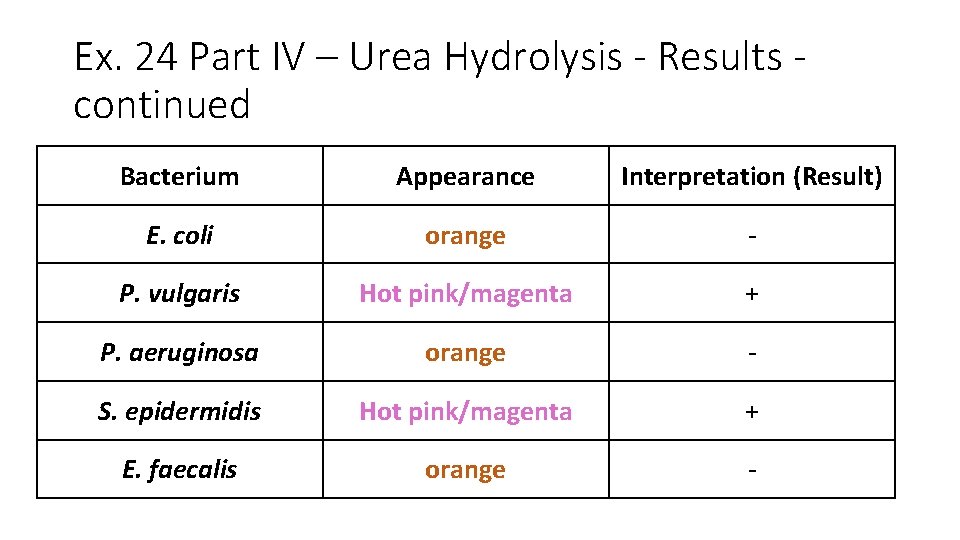 Ex. 24 Part IV – Urea Hydrolysis - Results continued Bacterium Appearance Interpretation (Result)