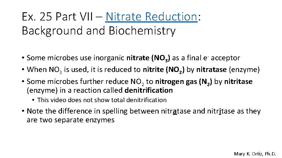 Ex. 25 Part VII – Nitrate Reduction: Background and Biochemistry • Some microbes use