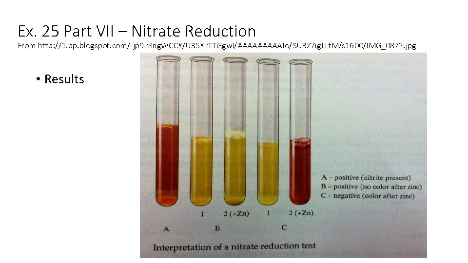 Ex. 25 Part VII – Nitrate Reduction From http: //1. bp. blogspot. com/-jp 9