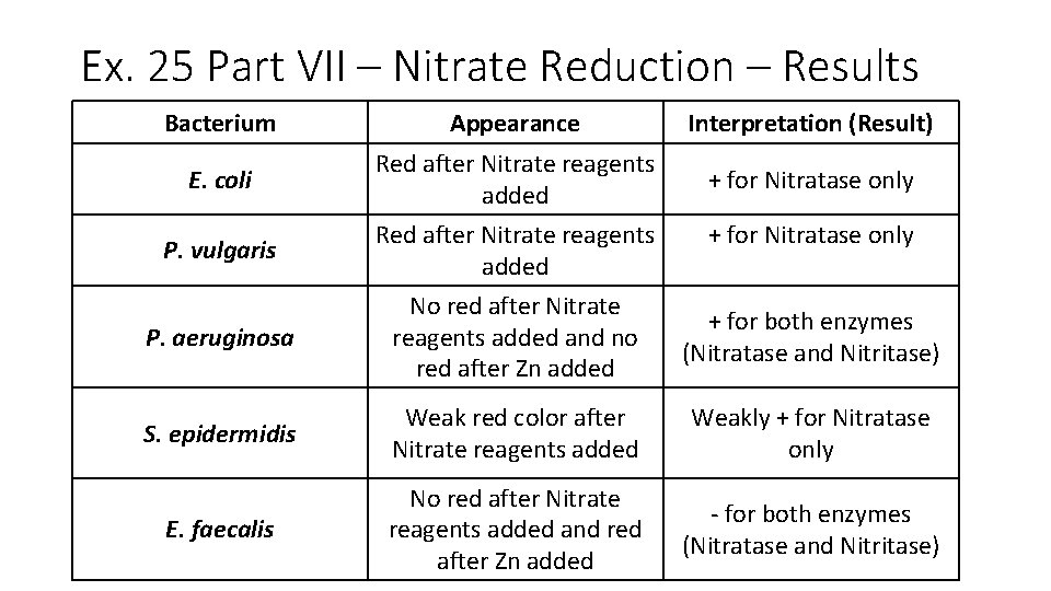 Ex. 25 Part VII – Nitrate Reduction – Results Bacterium Appearance Interpretation (Result) E.