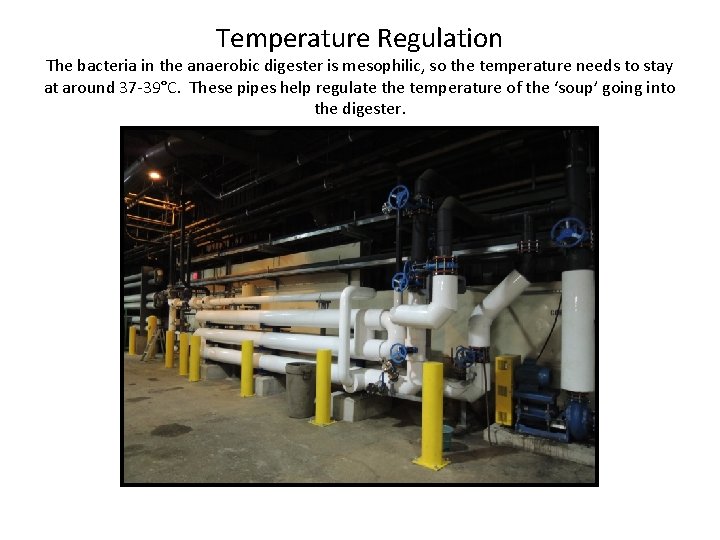 Temperature Regulation The bacteria in the anaerobic digester is mesophilic, so the temperature needs Temperature Regulation The bacteria in the anaerobic digester is mesophilic, so the temperature needs