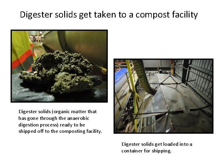 Digester solids get taken to a compost facility Digester solids (organic matter that has Digester solids get taken to a compost facility Digester solids (organic matter that has