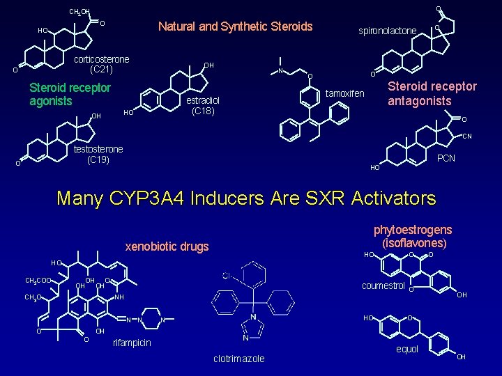 O CH 2 OH O HO Natural and Synthetic Steroids corticosterone (C 21) O