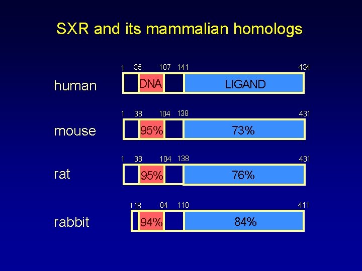 SXR and its mammalian homologs 1 1 mouse 38 38 104 138 431 73%
