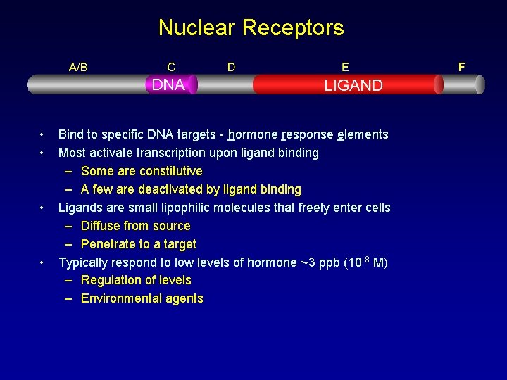 Nuclear Receptors • • Bind to specific DNA targets - hormone response elements Most