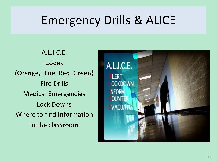 Emergency Drills & ALICE A. L. I. C. E. Codes (Orange, Blue, Red, Green)