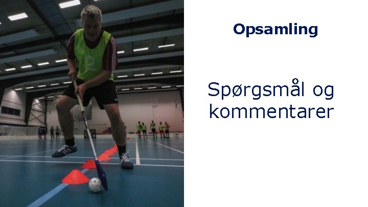 Opsamling Spørgsmål og kommentarer 