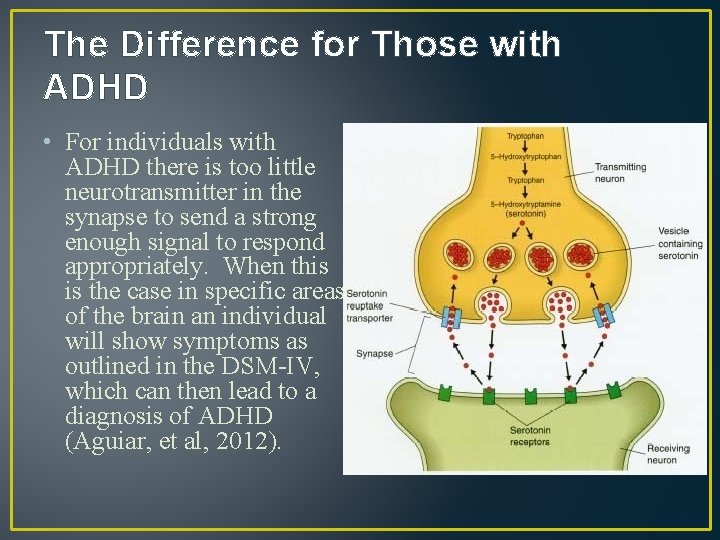 The Difference for Those with ADHD • For individuals with ADHD there is too