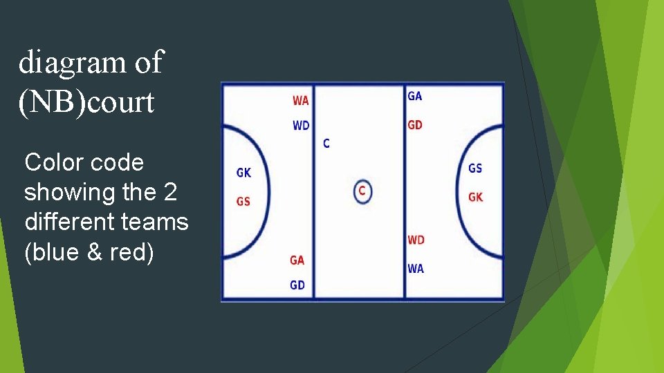 diagram of (NB)court Color code showing the 2 different teams (blue & red) 
