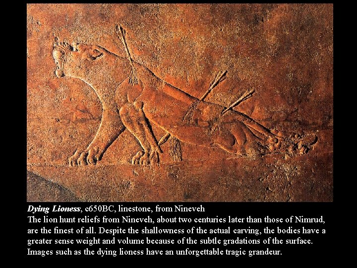 Dying Lioness, c 650 BC, linestone, from Nineveh The lion hunt reliefs from Nineveh,