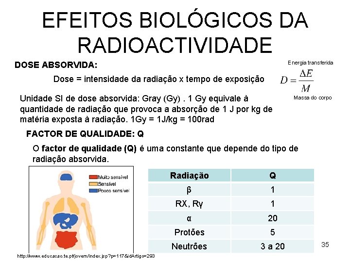 EFEITOS BIOLÓGICOS DA RADIOACTIVIDADE Energia transferida DOSE ABSORVIDA: Dose = intensidade da radiação x