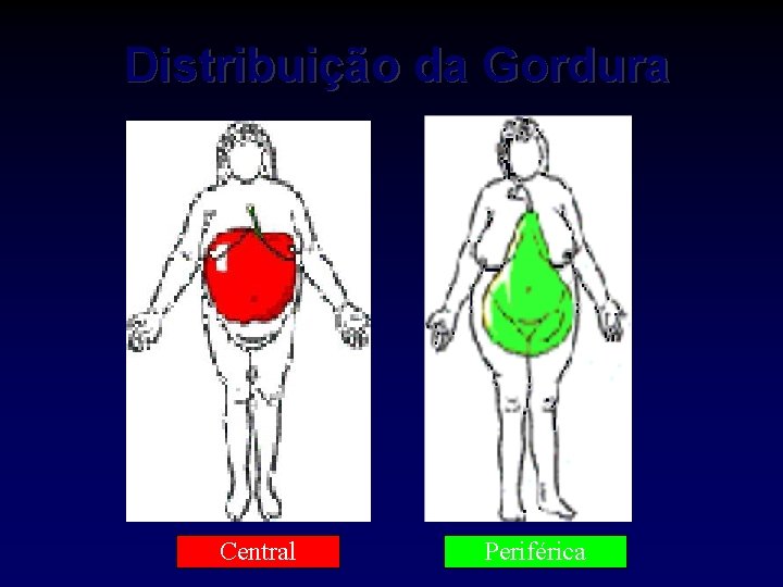 Distribuição da Gordura Central Periférica 