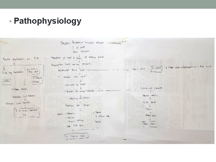  • Pathophysiology 