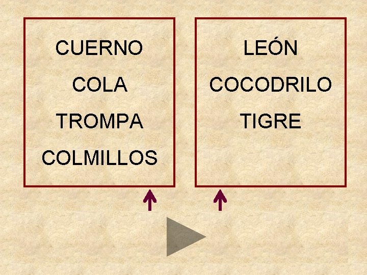 CUERNO LEÓN COLA COCODRILO TROMPA TIGRE COLMILLOS 