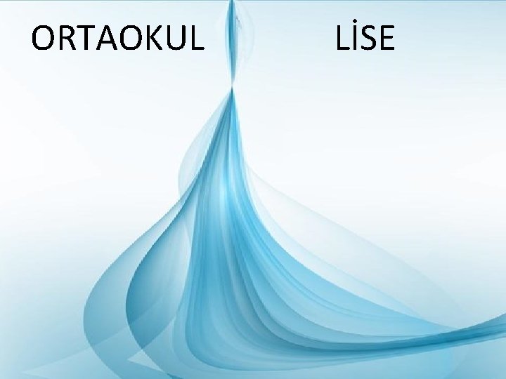 ORTAOKUL LİSE 