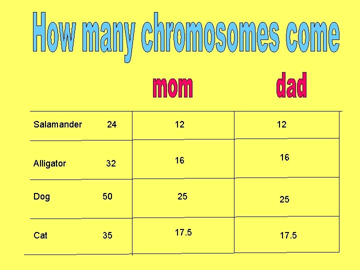 Salamander 24 12 Alligator 32 16 Dog 50 25 Cat 35 17. 5 12