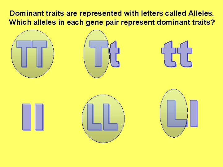 Dominant traits are represented with letters called Alleles. Which alleles in each gene pair