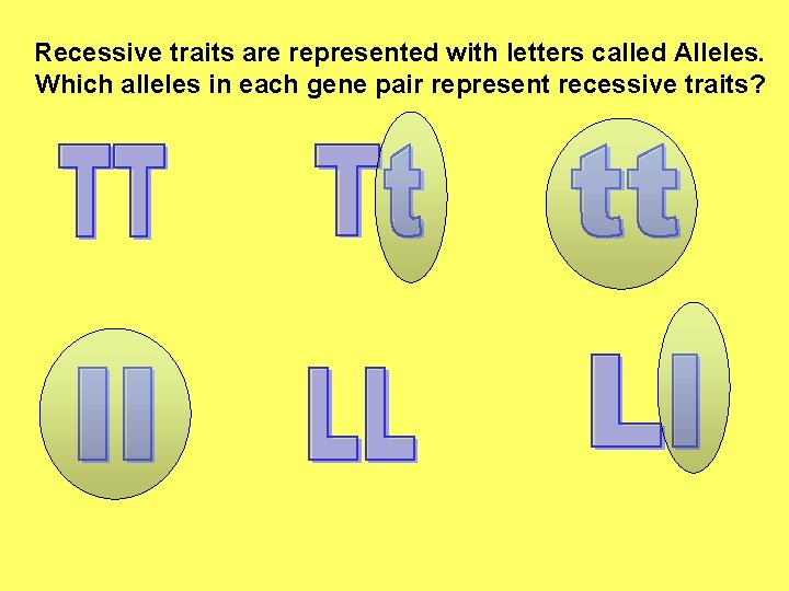 Recessive traits are represented with letters called Alleles. Which alleles in each gene pair