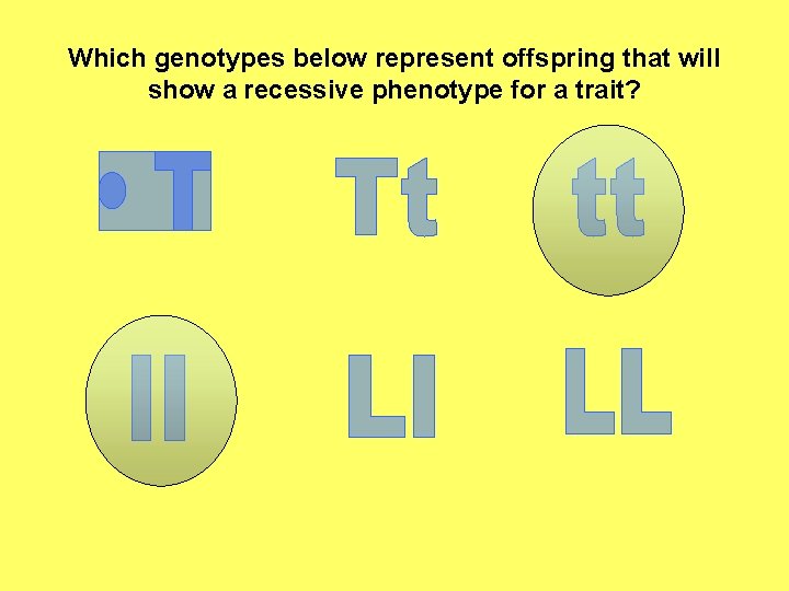 Which genotypes below represent offspring that will show a recessive phenotype for a trait?