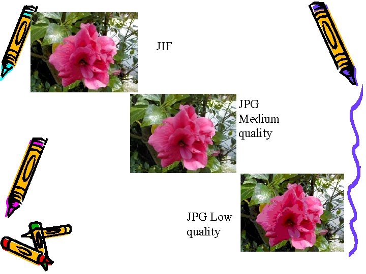 JIF JPG Medium quality JPG Low quality 