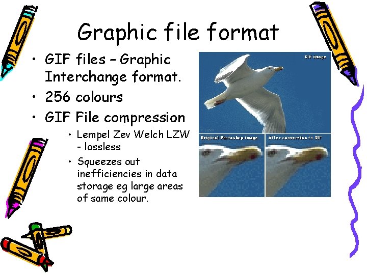 Graphic file format • GIF files – Graphic Interchange format. • 256 colours •