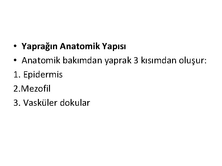  • Yaprağın Anatomik Yapısı • Anatomik bakımdan yaprak 3 kısımdan oluşur: 1. Epidermis