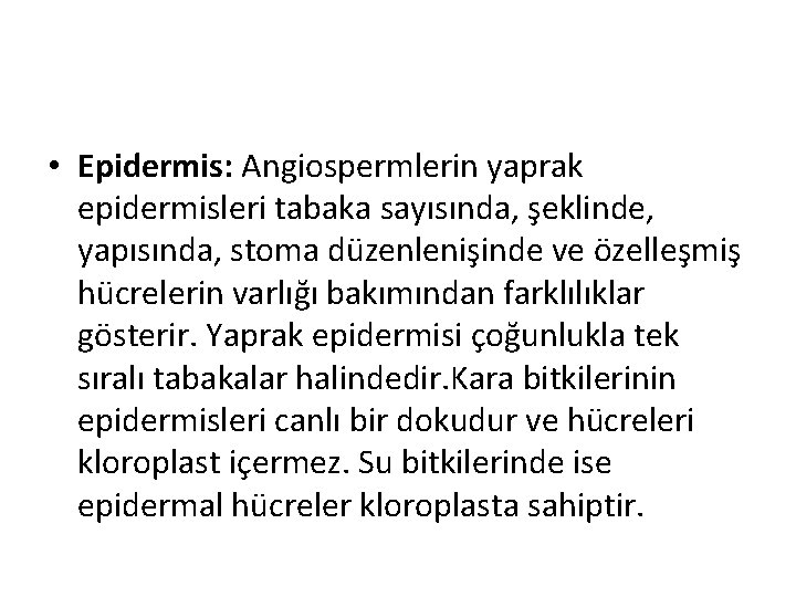  • Epidermis: Angiospermlerin yaprak epidermisleri tabaka sayısında, şeklinde, yapısında, stoma düzenlenişinde ve özelleşmiş