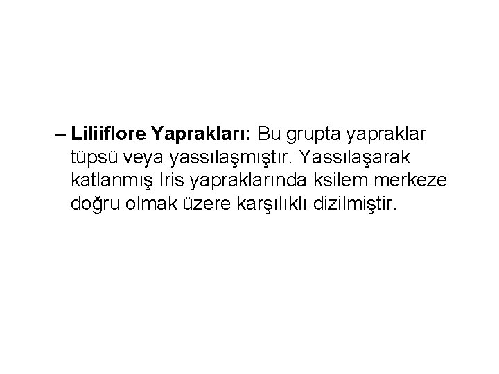 – Liliiflore Yaprakları: Bu grupta yapraklar tüpsü veya yassılaşmıştır. Yassılaşarak katlanmış Iris yapraklarında ksilem