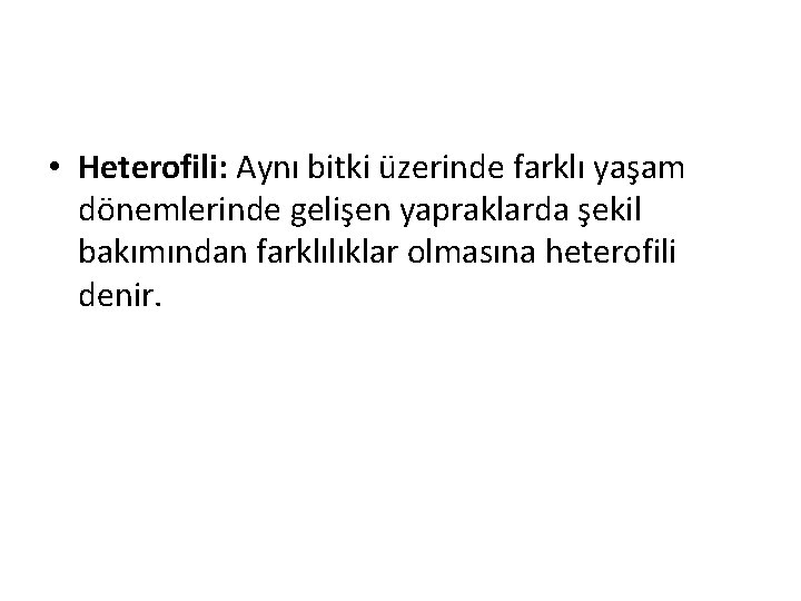  • Heterofili: Aynı bitki üzerinde farklı yaşam dönemlerinde gelişen yapraklarda şekil bakımından farklılıklar