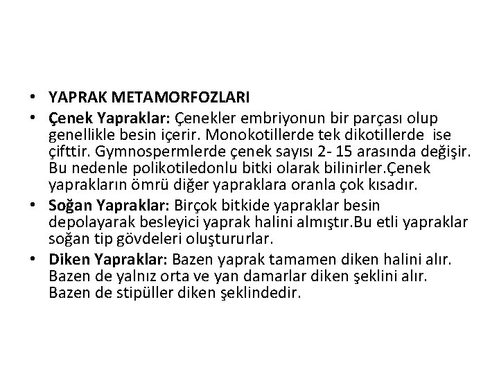  • YAPRAK METAMORFOZLARI • Çenek Yapraklar: Çenekler embriyonun bir parçası olup genellikle besin