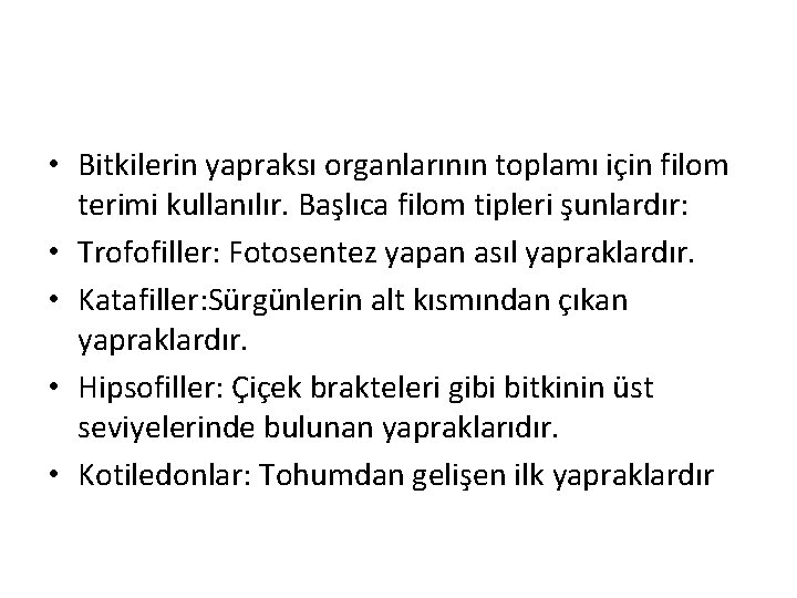  • Bitkilerin yapraksı organlarının toplamı için filom terimi kullanılır. Başlıca filom tipleri şunlardır: