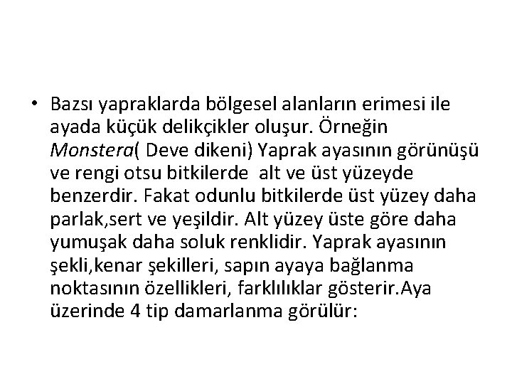  • Bazsı yapraklarda bölgesel alanların erimesi ile ayada küçük delikçikler oluşur. Örneğin Monstera(