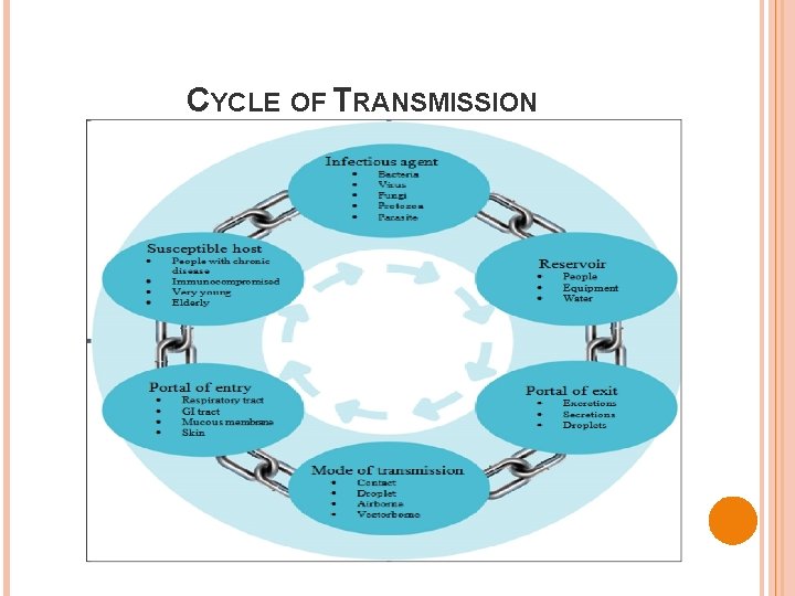 CYCLE OF TRANSMISSION 