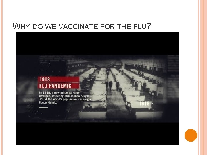 WHY DO WE VACCINATE FOR THE FLU? 