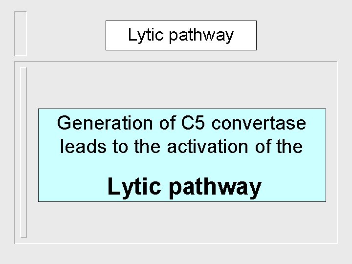 Lytic pathway Generation of C 5 convertase leads to the activation of the Lytic