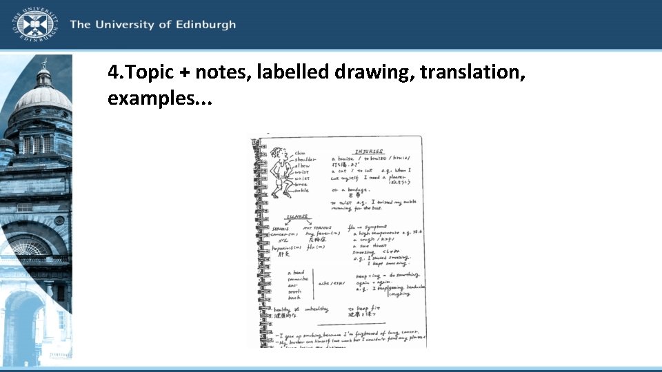 4. Topic + notes, labelled drawing, translation, examples. . . 