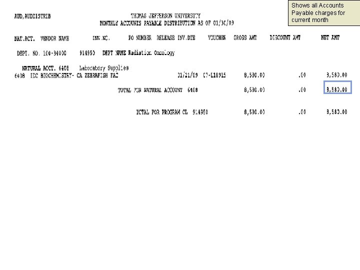 Shows all Accounts Payable charges for current month 