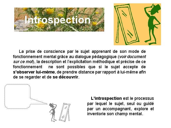 Introspection La prise de conscience par le sujet apprenant de son mode de fonctionnemental