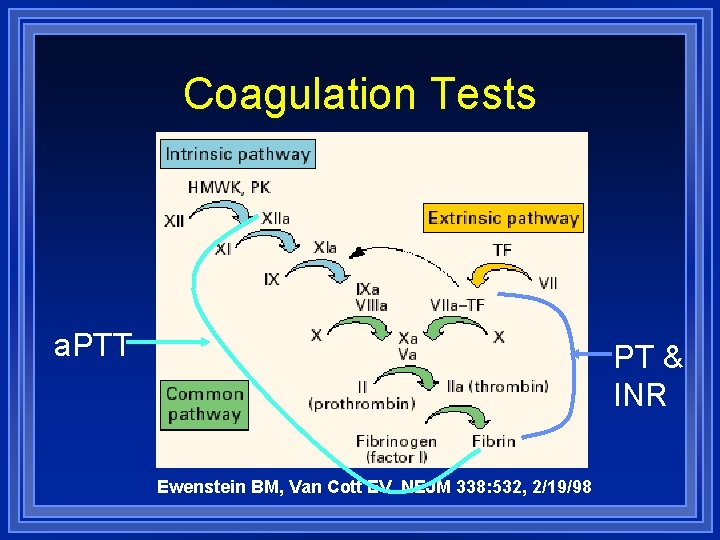 Coagulation Tests a. PTT PT & INR Ewenstein BM, Van Cott EV. NEJM 338: